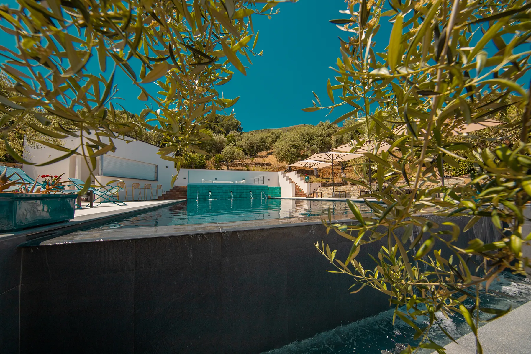 Piscina e lounge bar i servizi di Villa Totò Resort per gli ospiti di Villa Olea-gallery2