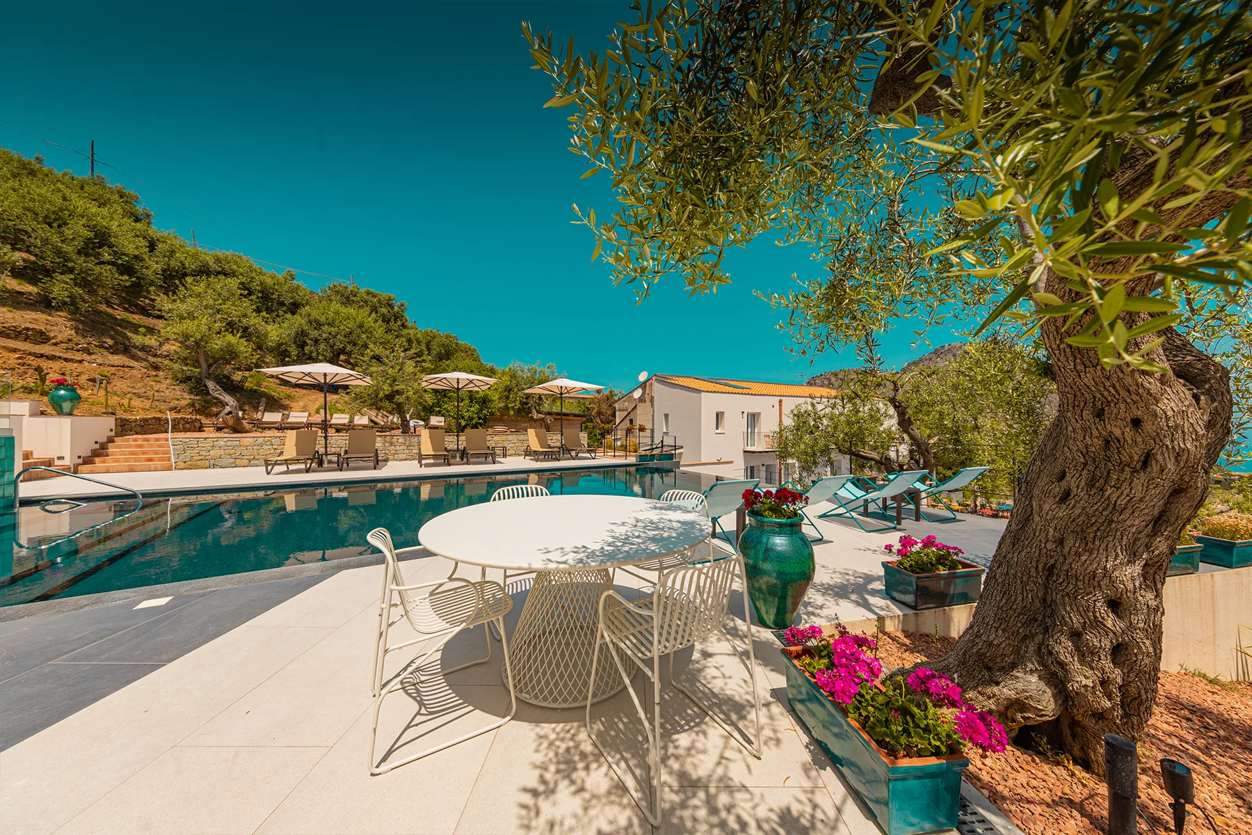 Piscina e lounge bar i servizi di Villa Totò Resort per gli ospiti di Villa Olea-gallery6